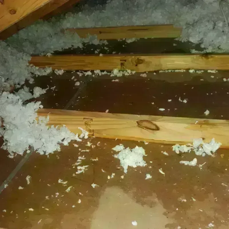 Attic Water Damage in Carroll County, VA